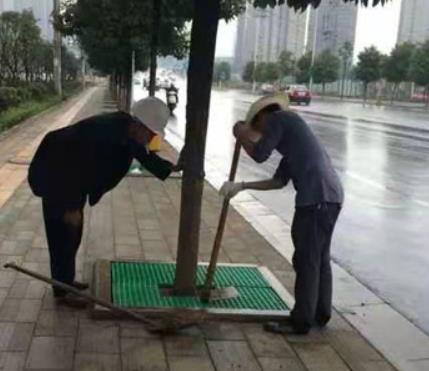 樹篦子價格判斷步驟 樹篦子價格判斷步驟