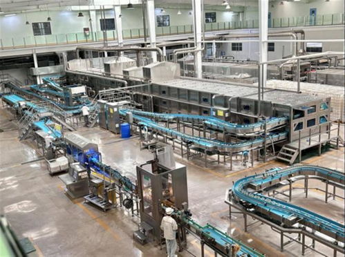 從產品創新到 芯片 育種 百億減免 促孝感米酒煥發新活力