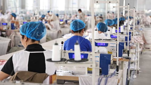 夏津 要素 服務 雙輪驅(qū)動 為企業(yè)創(chuàng)新發(fā)展賦能